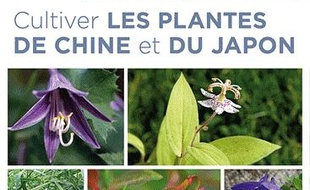 Cultiver les plantes de Chine et du Japon