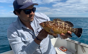 Grégory Tordjeman enregistre ses prises sur l'appli qu'il a développée, FishFriender. Le mérou étant une espèce protégée, le poisson a été relâché.
