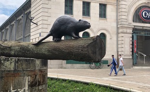 Un castor en bronze est à découvrir porte Sauvetout à Nantes