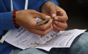 Illustration de cannabis.