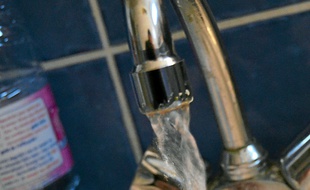 L'eau du robinet est de bonne qualité.