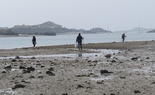 Pêcheurs à pied sur l'archipel de Chausey le 19 mars 2015.
