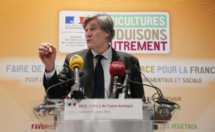 Le ministre de l'Agriculture Stéphane Le Foll présente son plan de réduction des pesticides, le 30 janvier 2015 dans son ministère à Paris