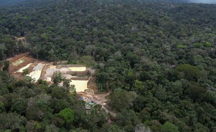 Un ancien site d'orpaillage clandestin dans la région du Maroni, en Guyane.