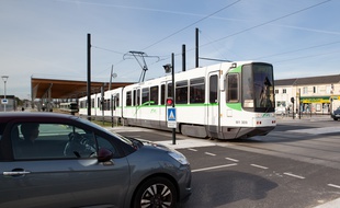 Un tramway sortant de la station Haluchère (illustration).