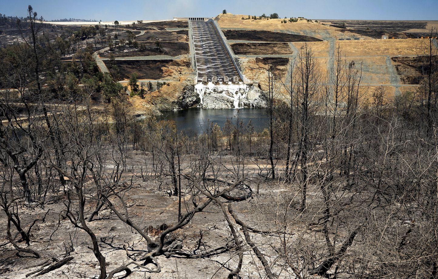 Californie : Actualités, vidéos, images et infos en direct - 20 Minutes