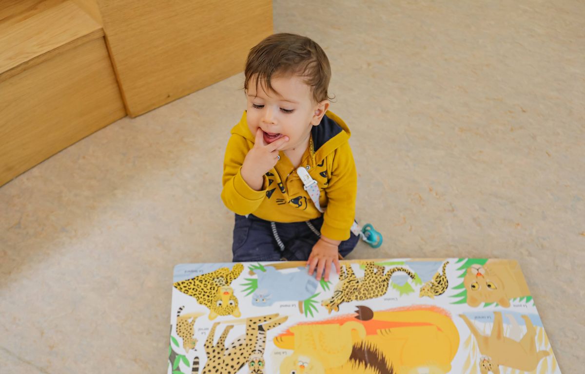 Le Prix du livre pour les bébés, une nouvelle récompense littéraire remise par Rachida Dati