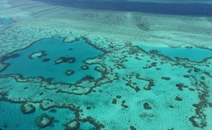 Vue aérienne de la Grande Barrière de corail, près des côtes du Queensland en Australie, le 20 novembre 2014