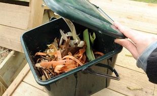 Ces poubelles individuelles servent à recueillir les déchets organiques destinés au compost.