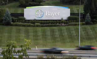 Une cour d'appel de Californie a confirmé vendredi la condamnation de Monsanto, racheté par le groupe allemand Bayer, dans le procès intenté par un retraité malade d'un cancer qu'il attribuait à l'utilisation du désherbant Roundup.