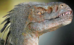 Les Utahraptors sont présentés en réalité augmentée au zoo de Bordeaux-Pessac
