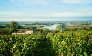 Au coeur des vignobles bordelais, à la rencontre de vignerons passionnés ou au bord du Bassin d’Arcachon, l’été se prolonge au fil du rosé.
