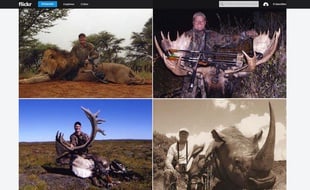 Compte Flickr de Walter Palmer.