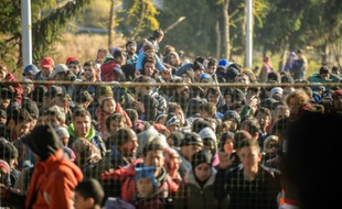 Des migrants et réfugiés attendent de passer la frontière entre la Slovénie et l'Autriche, le 3 novembre 2015 à Sentilj