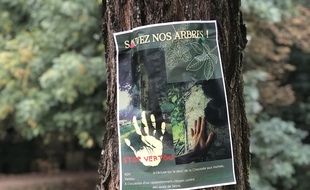 Seize arbres de la Chaussée des moines de Vertou menacés