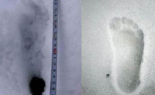 Empreinte supposée du yéti (G) découverte par des Japonais au Dhaulagiri et comparée à une empreinte de pied humain, le 20 octobre 2008.