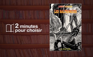 «Les Baltringues» par Ludovic Roubaudi chez Le Dilettante (286 p., 16,50€).