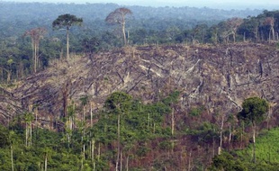 Une zone de la forêt nationale de Jamanxim en Amazonie s'est envolée en fumée, le 29 novembre 2009