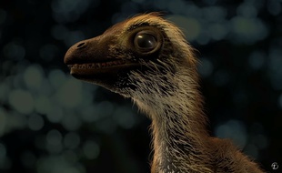 Un bébé Tyrannosaurus rex, beaucoup plus mignon que ce à quoi on s'attendait.