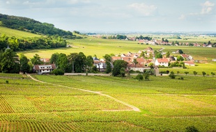 Les «Climats» des vignobles de Bourgogne, délimitées sur les pentes de la côte de Nuits (ici, Musigny) et de Beaune, ont intégré le patrimoine mondial de l'humanité de l'Unesco le 4 juillet 2015.