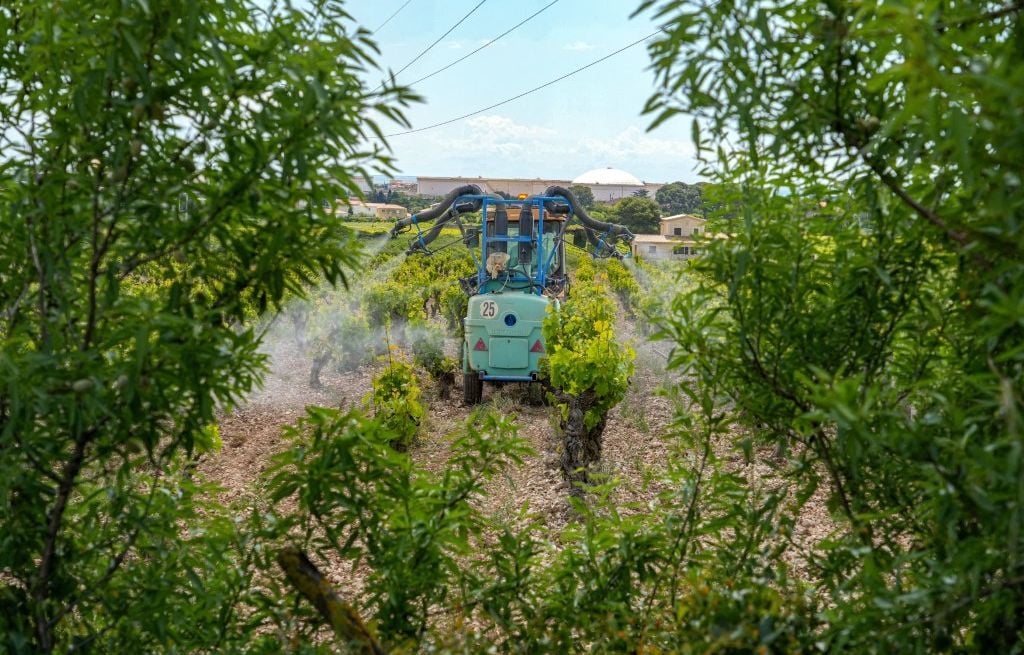 Pesticides : « Dire qu'à 5 mètres tout va bien, c'est faux »... Les riverains de vignes surexposés à une contamination