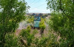 Vivre près des vignes, c’est être surexposé aux pesticides confirme une étu…