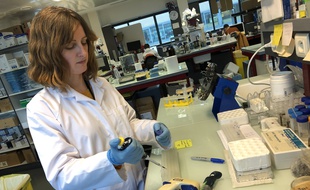 La virologue spécialiste des coronavirus, Sandrine Belouzard, participe à l'étude sur le repositionnement d'un médicament pour lutter contre le Covid-19.