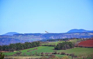 Quels animaux peuplent les volcans d’Auvergne ?