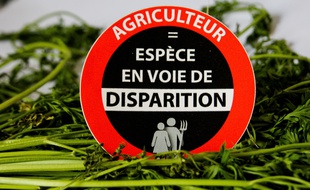 Un macaron distribué lors d'une manifestation de paysans dans la Sarthe, en décembre 2018.