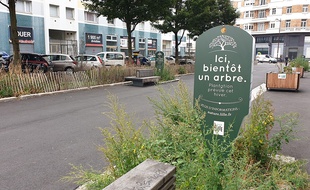 La nature en ville, enjeu majeur des prochaines municipales à Lille.