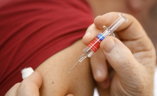Un virus contre la grippe (illustration).