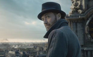 Jude Law dans Les Animaux Fantastiques: Les Crimes de Grindelwald