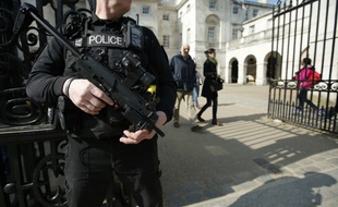 Un policier britannique