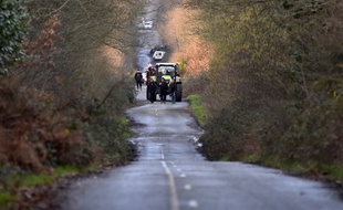 L'ex route des chicanes de Notre-Dame-des-Landes, le 15 février 2017.