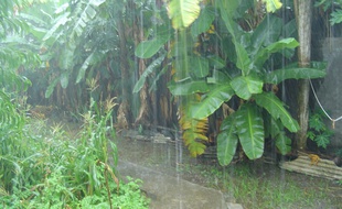 La saison des pluies à Mayotte (illustration).