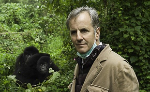 Bernard de La Villardière à la découverte des grands singes