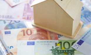 House model with euro currency