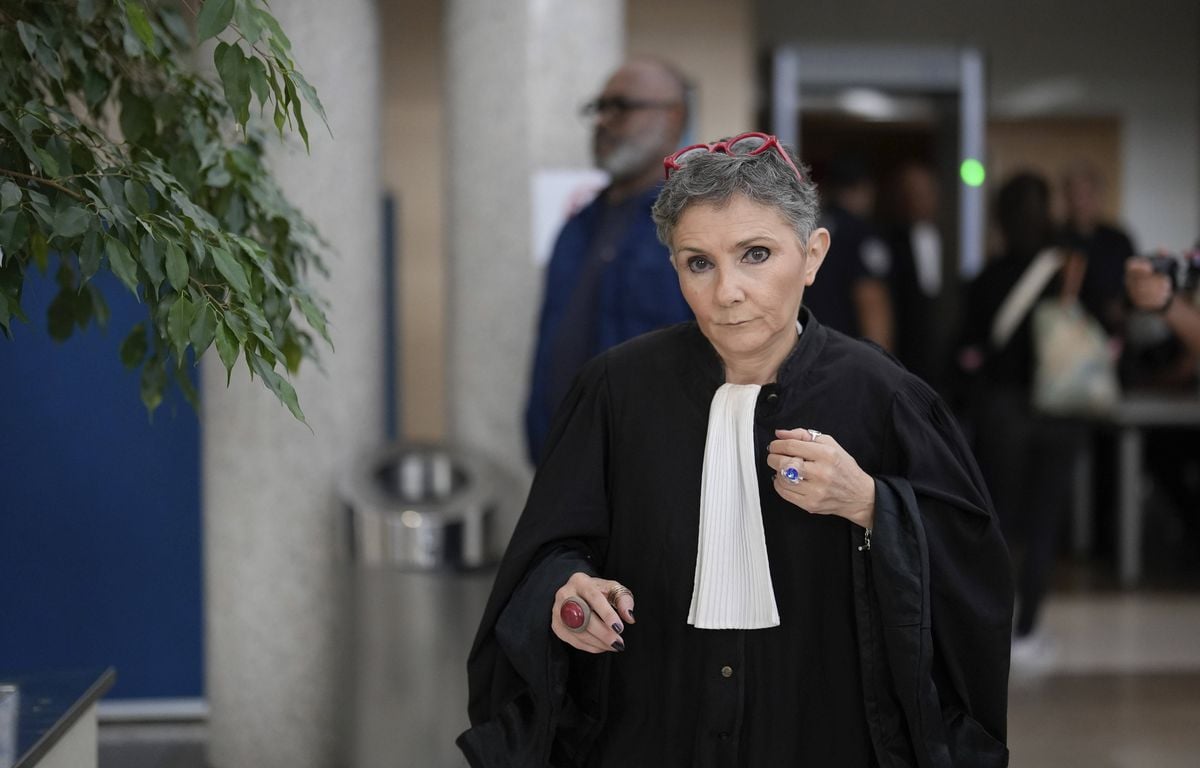 Viols de Mazan : « Lui et moi contre le reste du monde »... Les confidences de l'avocate de Dominique Pelicot