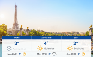 Météo Paris: Prévisions du lundi 25 janvier 2021