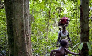La conférence sur le climat de l'ONU à Durban (Afrique du Sud) n'a pas apporté les réponses nécessaires pour freiner la déforestation, selon des analystes qui insistent pour que les grandes forêts de la planète deviennent le coeur de la lutte contre le réchauffement climatique.