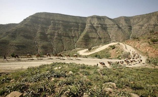 L'Ethiopie a indiqué jeudi qu'elle étudiait comment "répondre à l'attaque" qu'elle attribue à son voisin érythréen, après la mort de cinq touristes européens et l'enlèvement de plusieurs autres près de la frontière avec l'Erythrée.