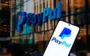 Un hacker met en vente 15 millions de comptes PayPal piratés à bas prix