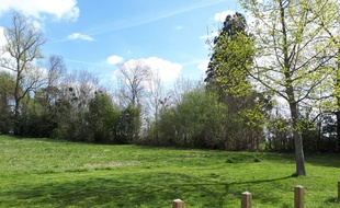 La parcelle qui va accueillir une micro-ferme au sein du parc de la Burthe, à Floirac.