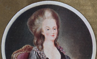 La reine Marie-Antoinette (illustration).