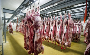Illustration d'un abattoir en France.