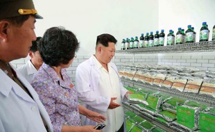 This undated photo released by North Korea's official Korean Central News Photo non datée, diffusée par l'agence officielle nord-coréenne KCNA le 6 juin 2015, montrant le leader nord-coréen Kim Jong-Un visitant un institut biotechnique à Pyongyang