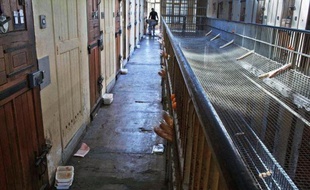 Le Conseil d'Etat a ordonné samedi la mise en oeuvre d'une "opération d'envergure" de dératisation et de désinsectisation de la prison des Baumettes, à Marseille, dans un délai de dix jours, a annoncé la plus haute juridiction administrative.