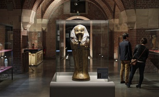 L'Open Museum «Donald» au musée des Beaux-Arts de Lille.