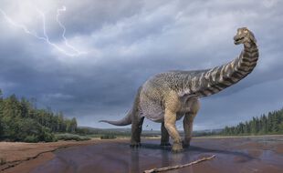 Une illustration de l'Australotitan cooperensis, nouvelle espèce de dinosaure.