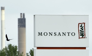 L'usine Monsanto à Lillo près d'Anvers, en Belgique, le 24 mai 2016.